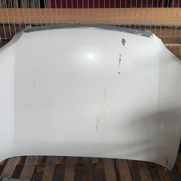 Toyota Prado Hood
